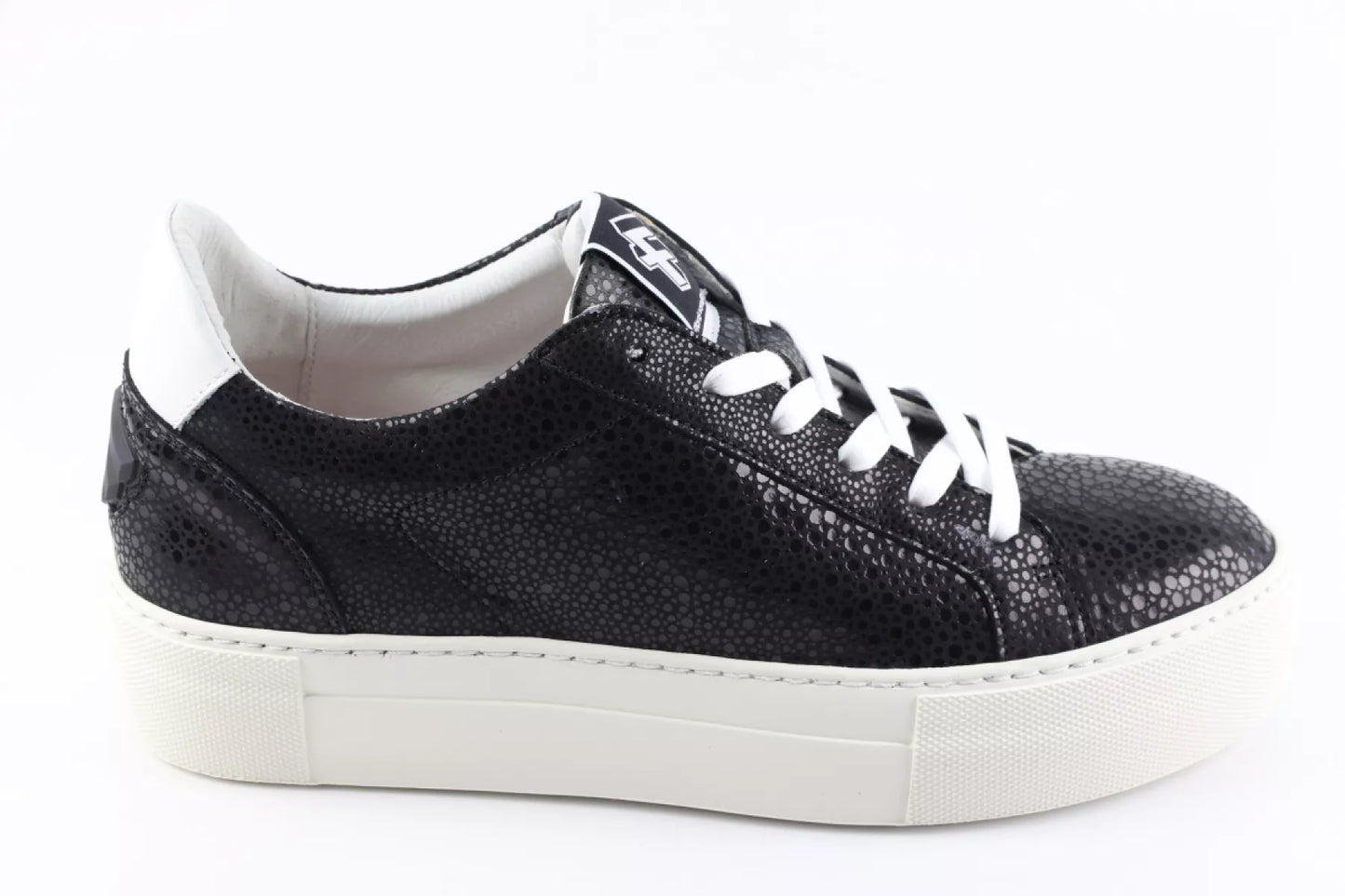 Floris van Bommel Floris van Bommel Vinni 05.31.SFW-10059-10-03