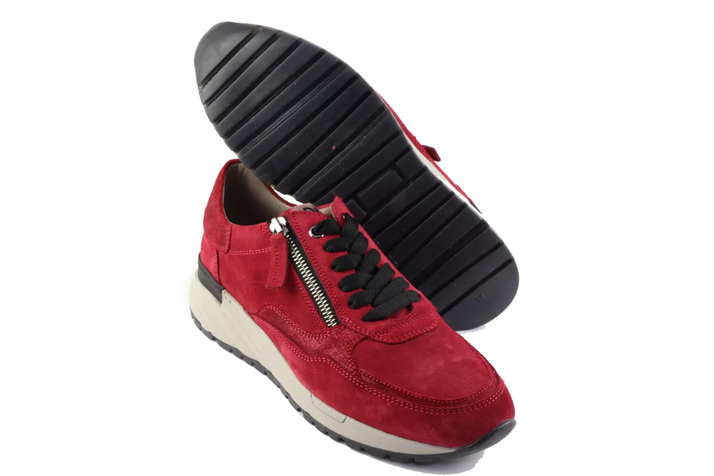 DL Sport DL Sport 5849.Vel.Opera