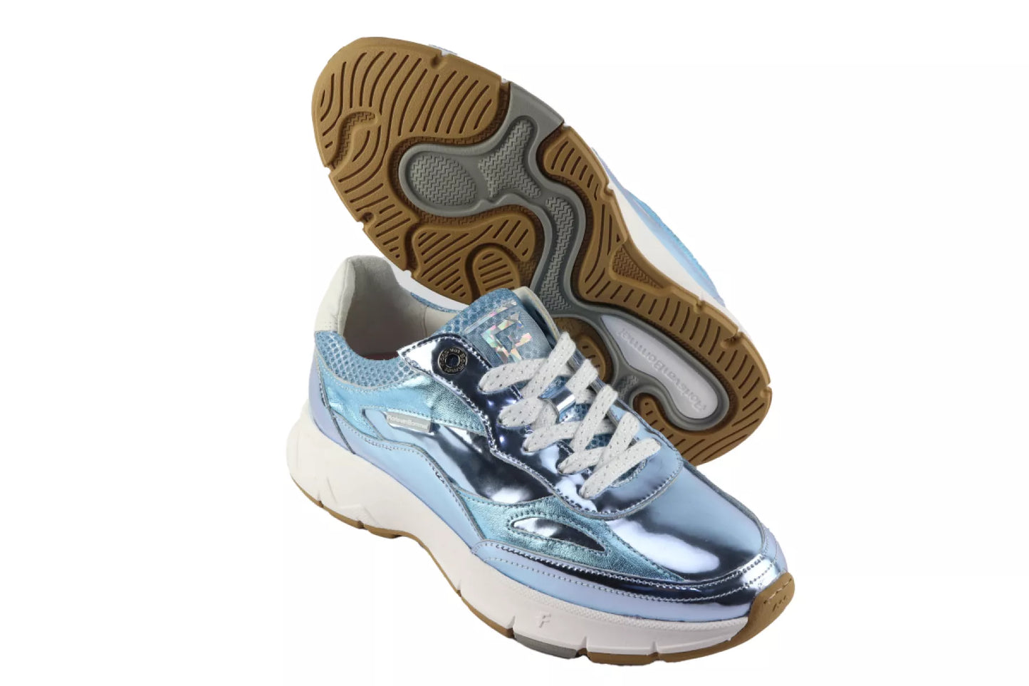 Floris van Bommel Floris van Bommel Daysi 01.03.SFW-10101-42-01
