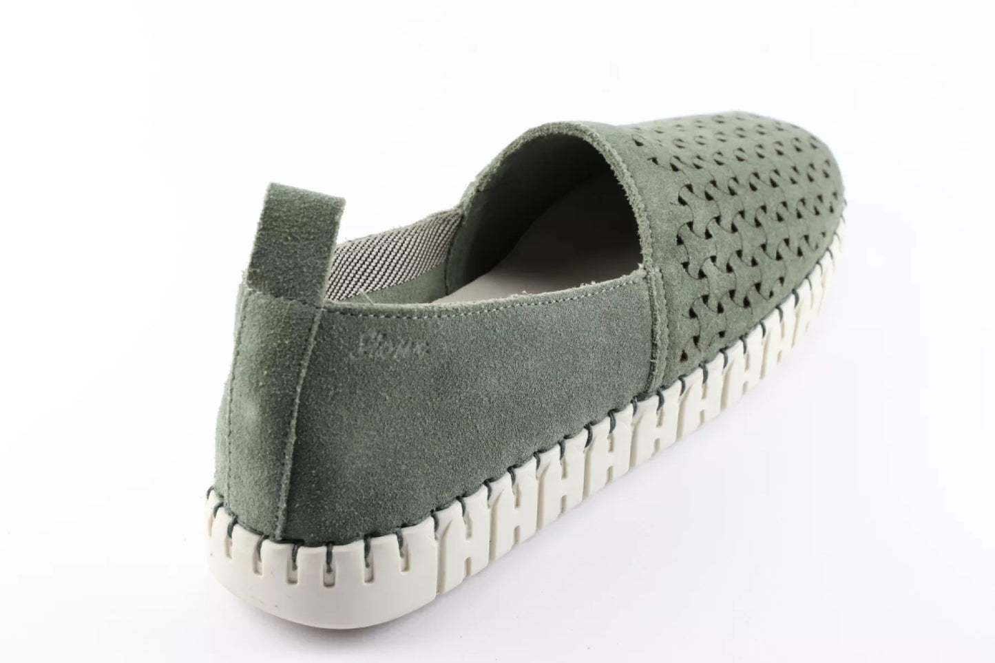 Sioux Sioux Rachida.6169292 Oliva